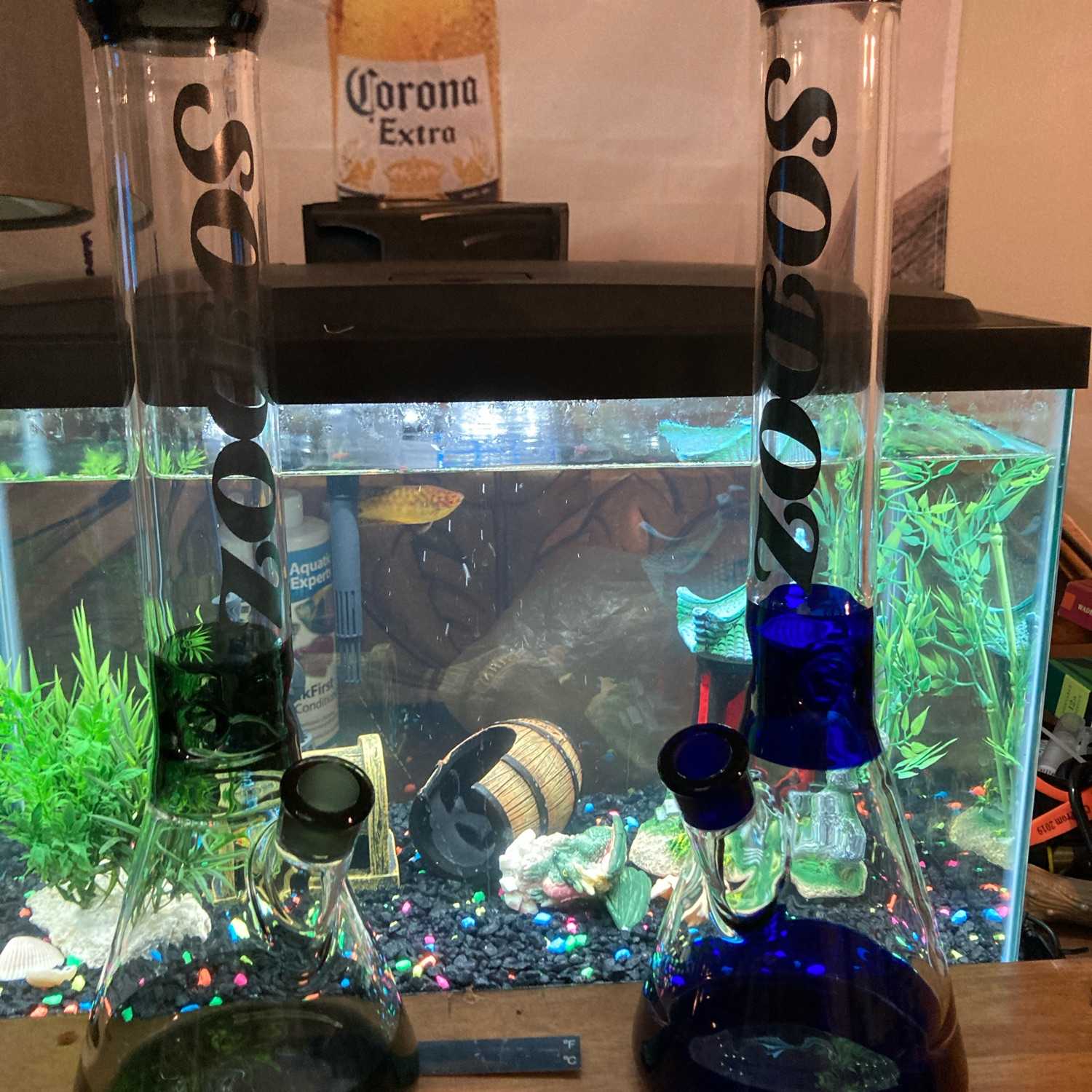 14mm multi hole slide big pack GlassPass